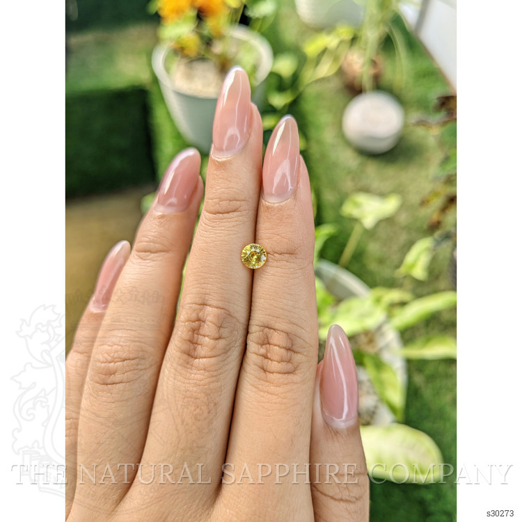 0.72 Ct. Yellow Sapphire from Ceylon (Sri Lanka)
