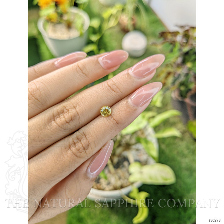 0.72 Ct. Yellow Sapphire from Ceylon (Sri Lanka)
