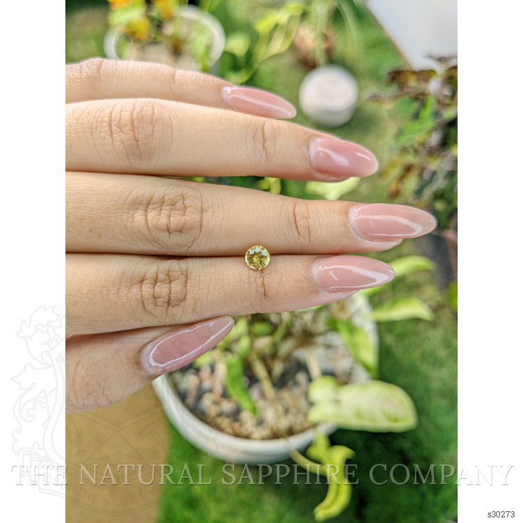 0.72 Ct. Yellow Sapphire from Ceylon (Sri Lanka)