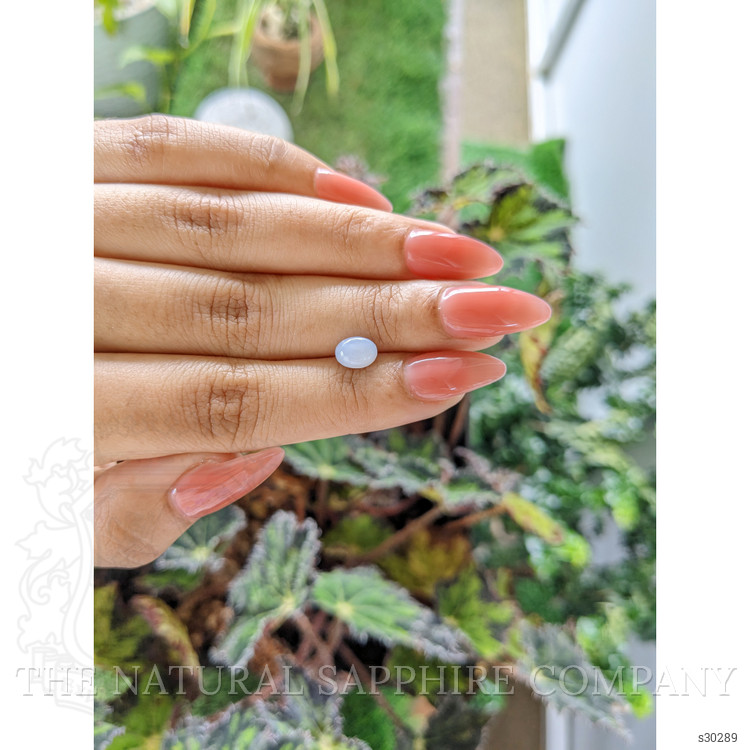 1.46 Ct. Greyish Blue Star Sapphire from Ceylon (Sri Lanka)