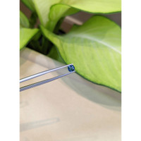 0.49 Ct. Blue Sapphire from Ceylon (Sri Lanka) Life Style