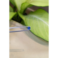 0.69 Ct. Blue Sapphire from Ceylon (Sri Lanka) Life Style