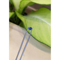 0.70 Ct. Blue Sapphire from Ceylon (Sri Lanka) Life Style