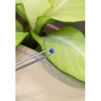 0.53 Ct. Blue Sapphire from Ceylon (Sri Lanka) Life Style