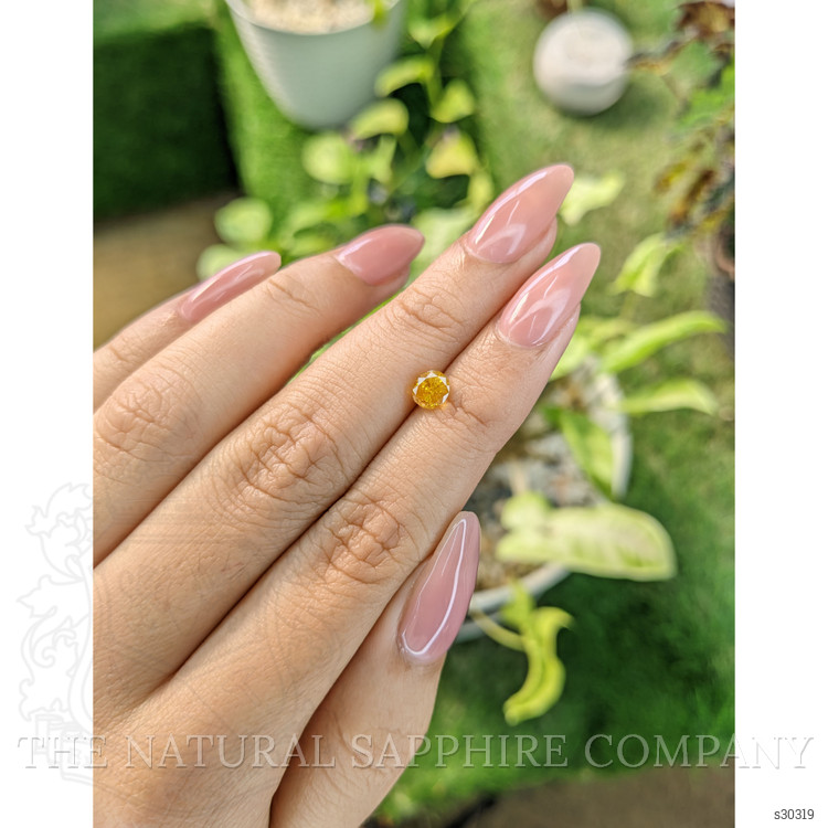 1.05 Ct. Yellow Sapphire from Ceylon (Sri Lanka)