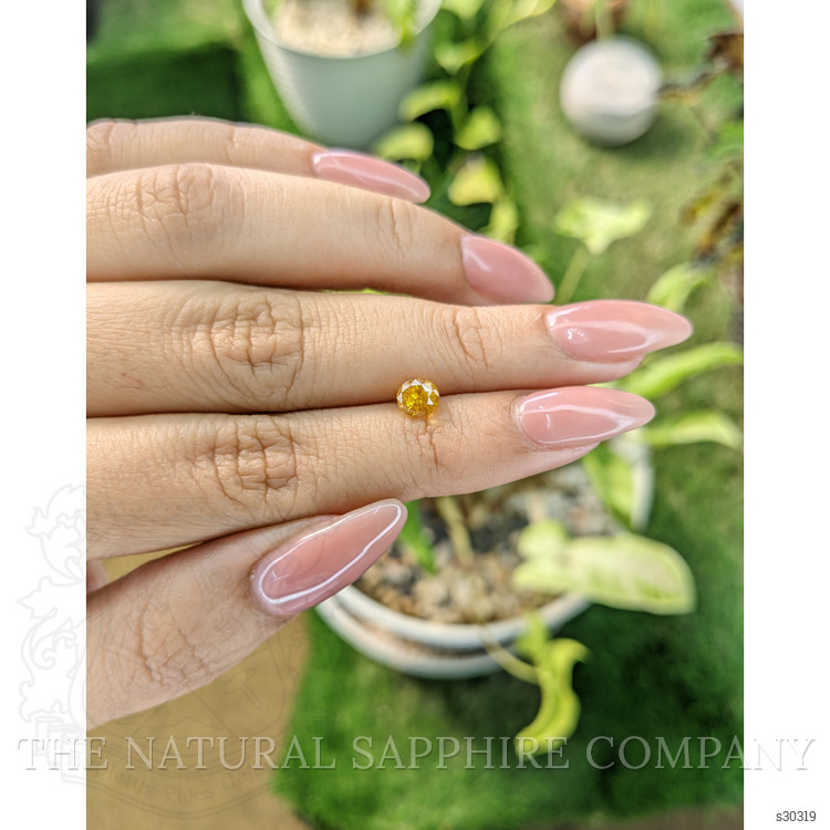 1.05 Ct. Yellow Sapphire from Ceylon (Sri Lanka)