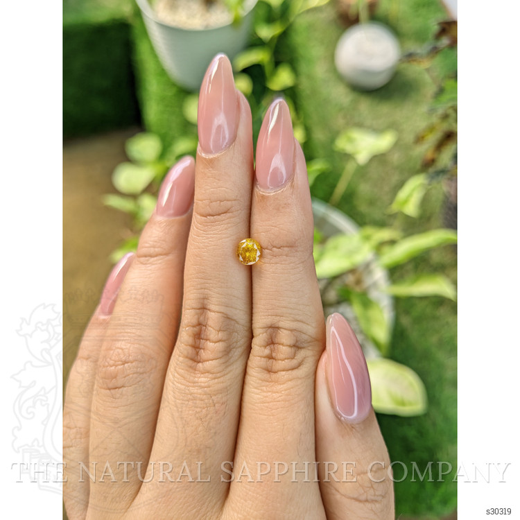 1.05 Ct. Yellow Sapphire from Ceylon (Sri Lanka)