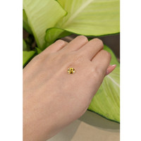 0.75 Ct. Yellow Sapphire from Ceylon (Sri Lanka) Life Style