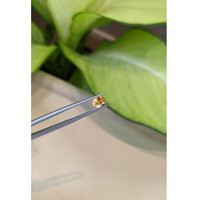 0.97 Ct. Yellowish Orange Sapphire from Ceylon (Sri Lanka) Life Style