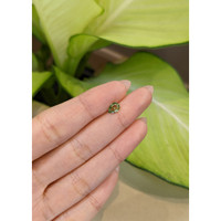 0.83 Ct. Green Sapphire from Ceylon (Sri Lanka) Life Style