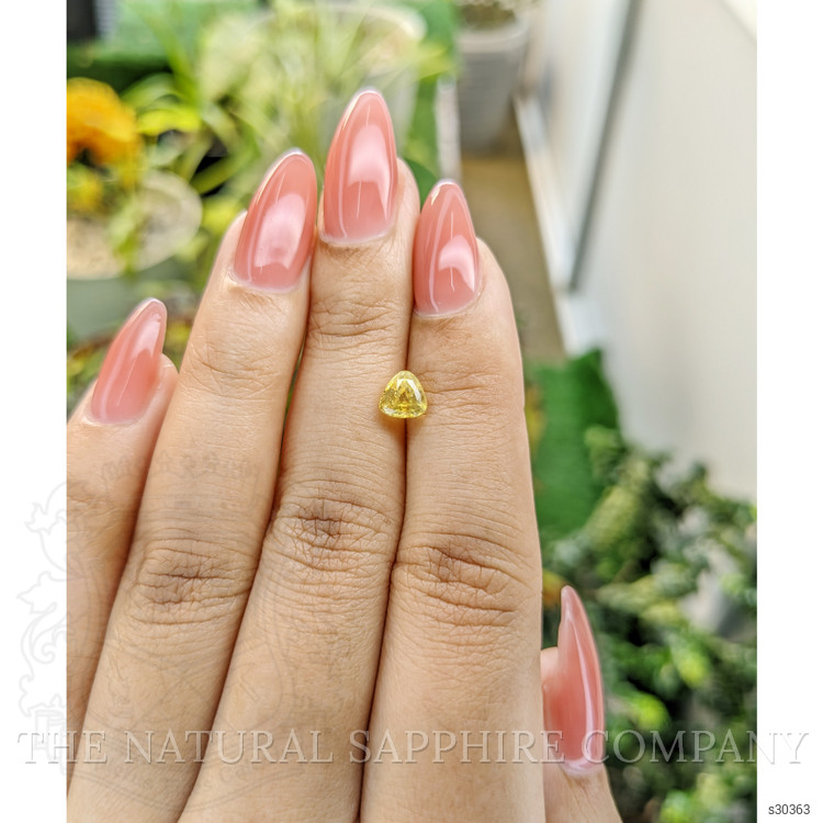 1.02 Ct. Yellow Sapphire from Ceylon (Sri Lanka)