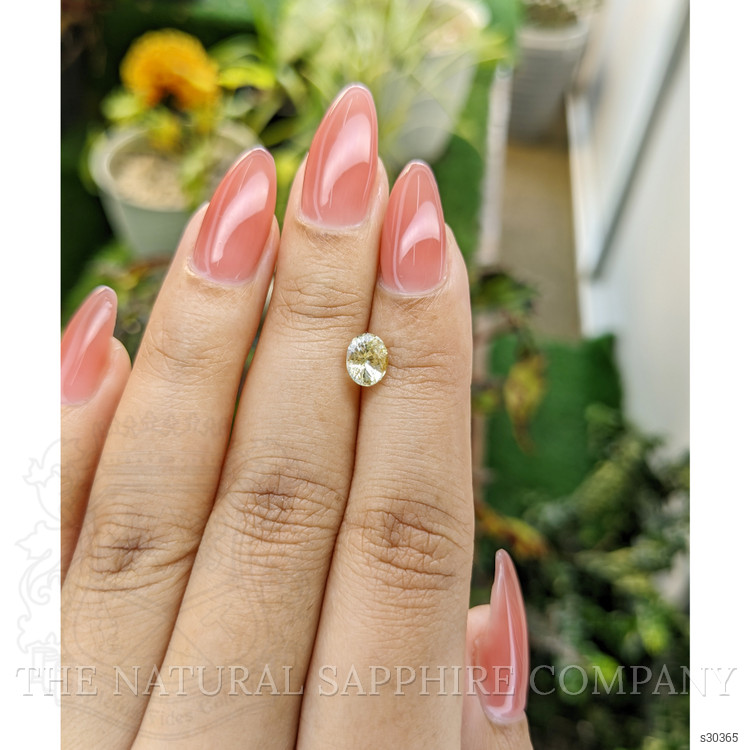 1.22 Ct. Yellow Sapphire from Ceylon (Sri Lanka)