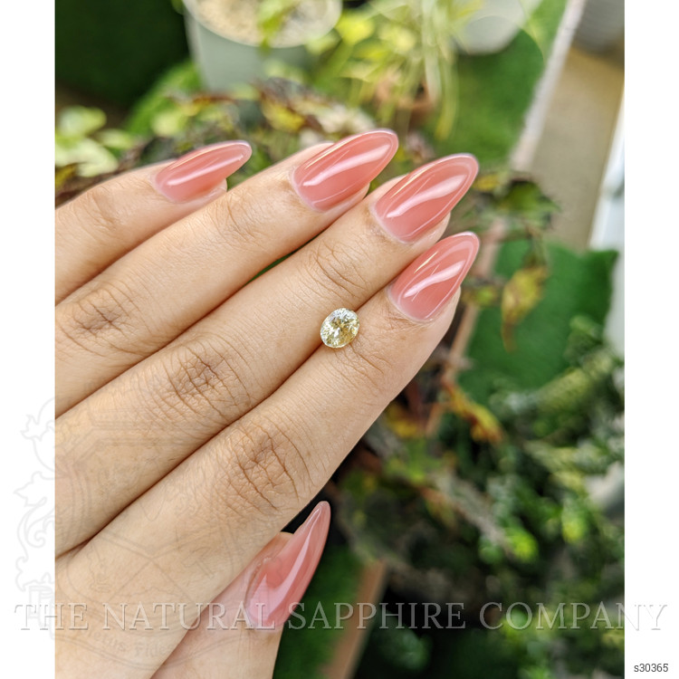 1.22 Ct. Yellow Sapphire from Ceylon (Sri Lanka)