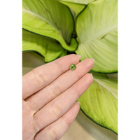 1.06 Ct. Yellowish Green Sapphire from Madagascar Life Style