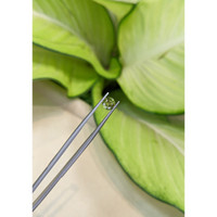 1.20 Ct. Green Sapphire from Madagascar Life Style