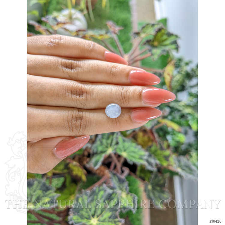 5.09 Ct. Grey Star Sapphire from Ceylon (Sri Lanka)