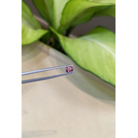 0.85 Ct. Pink Sapphire from Ceylon (Sri Lanka) Life Style