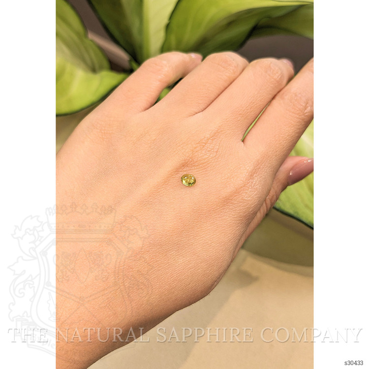 0.45 Ct. Greenish Yellow Cabochon Sapphire from Ceylon (Sri Lanka)