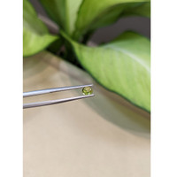 0.45 Ct. Greenish Yellow Cabochon Sapphire from Ceylon (Sri Lanka) Life Style