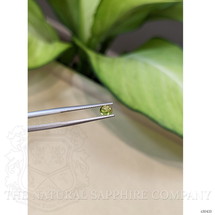 0.45 Ct. Greenish Yellow Cabochon Sapphire from Ceylon (Sri Lanka)