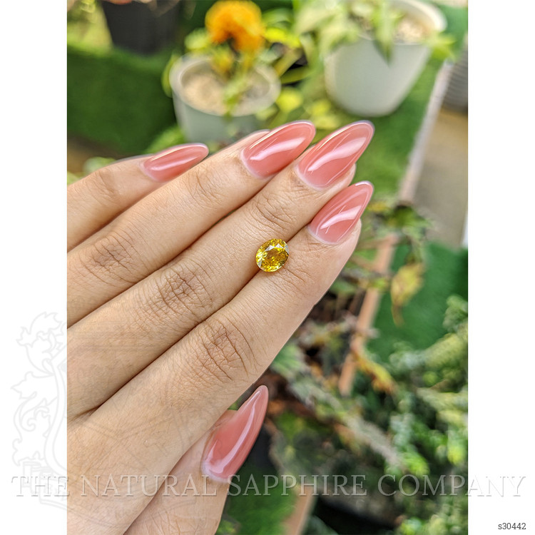 2.06 Ct. Yellow Sapphire from Ceylon (Sri Lanka)