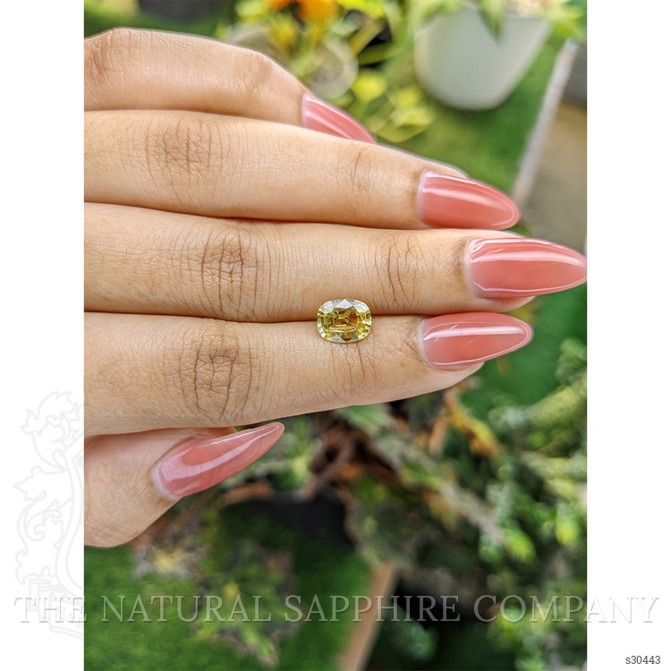 1.68 Ct. Yellow Sapphire from Ceylon (Sri Lanka)