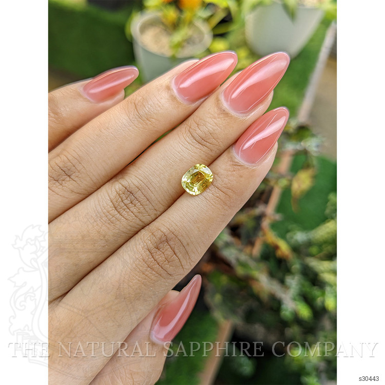 1.68 Ct. Yellow Sapphire from Ceylon (Sri Lanka)
