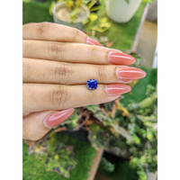 1.97 Ct. Blue Sapphire from Ceylon (Sri Lanka) Life Style