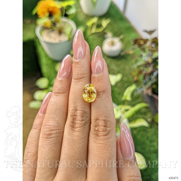 6.70 Ct. Yellow Sapphire from Ceylon (Sri Lanka)