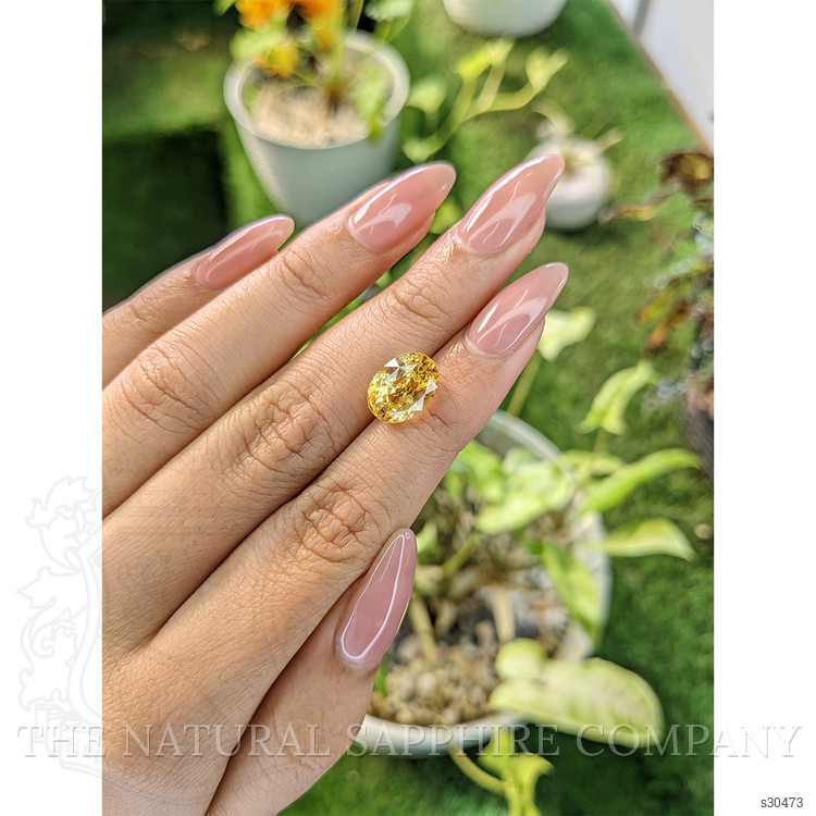 6.70 Ct. Yellow Sapphire from Ceylon (Sri Lanka)