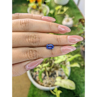 1.45 Ct. Blue Sapphire from Ceylon (Sri Lanka) Life Style