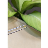 0.90 Ct. Yellow Cabochon Sapphire from Ceylon (Sri Lanka) Life Style