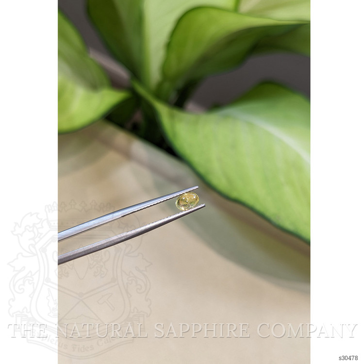 0.90 Ct. Yellow Cabochon Sapphire from Ceylon (Sri Lanka)