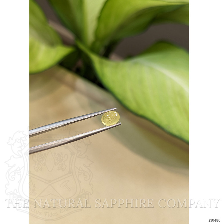 1.21 Ct. Yellow Cabochon Sapphire from Ceylon (Sri Lanka)