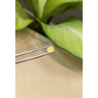 1.12 Ct. Yellow Cabochon Sapphire from Ceylon (Sri Lanka) Life Style