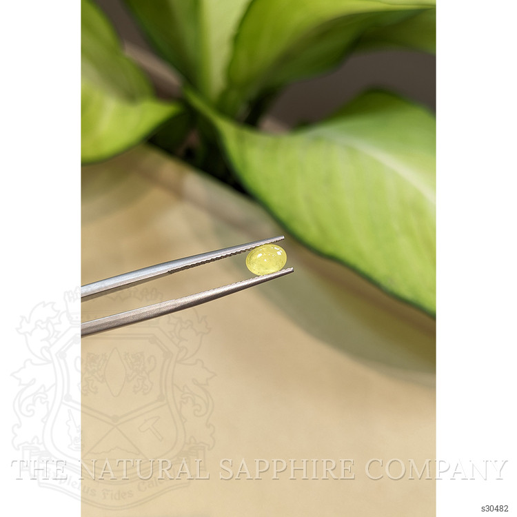 1.12 Ct. Yellow Cabochon Sapphire from Ceylon (Sri Lanka)