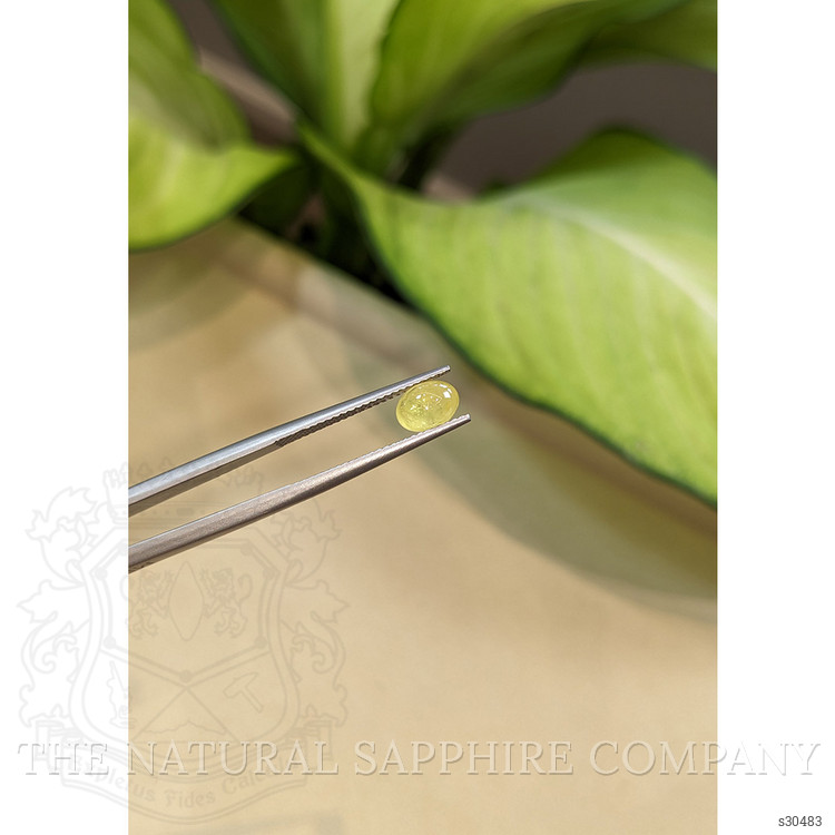 1.08 Ct. Yellow Cabochon Sapphire from Ceylon (Sri Lanka)