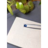 0.70 Ct. Blue Sapphire from Ceylon (Sri Lanka) Life Style