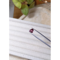 2.90 Ct. Purple Sapphire from Ceylon (Sri Lanka) Life Style