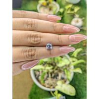 2.14 Ct. Bluish Grey Sapphire from Ceylon (Sri Lanka) Life Style