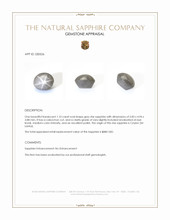 1.10 Ct. Grey Star Sapphire from Ceylon (Sri Lanka) Appraisal