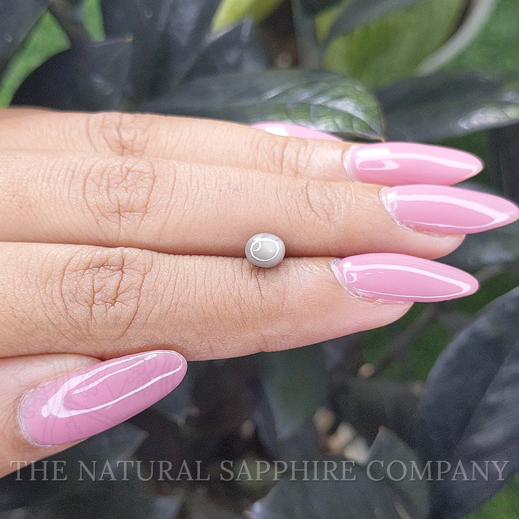 1.10 Ct. Grey Star Sapphire from Ceylon (Sri Lanka)