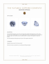 1.18 Ct. Blue Sapphire from Ceylon (Sri Lanka) Appraisal