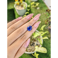 5.16 Ct. Blue Sapphire from Ceylon (Sri Lanka) Life Style