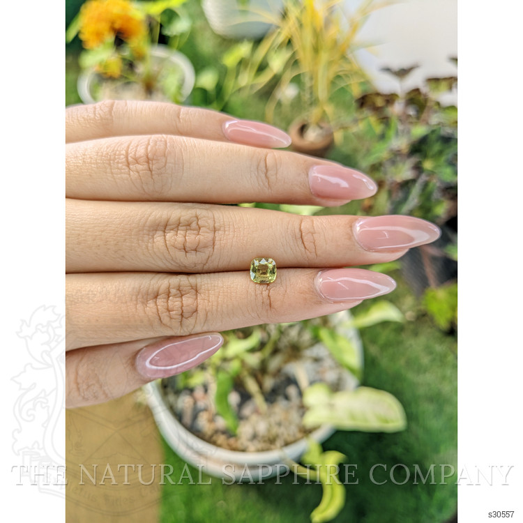 1.20 Ct. Greenish Yellow Sapphire from Ceylon (Sri Lanka)