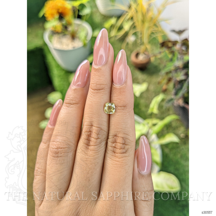 1.20 Ct. Greenish Yellow Sapphire from Ceylon (Sri Lanka)