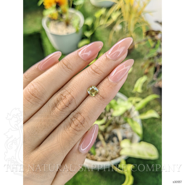 1.20 Ct. Greenish Yellow Sapphire from Ceylon (Sri Lanka)
