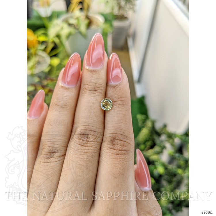 1.15 Ct. Yellow Sapphire from Ceylon (Sri Lanka)