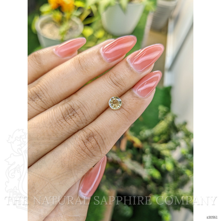 1.15 Ct. Yellow Sapphire from Ceylon (Sri Lanka)