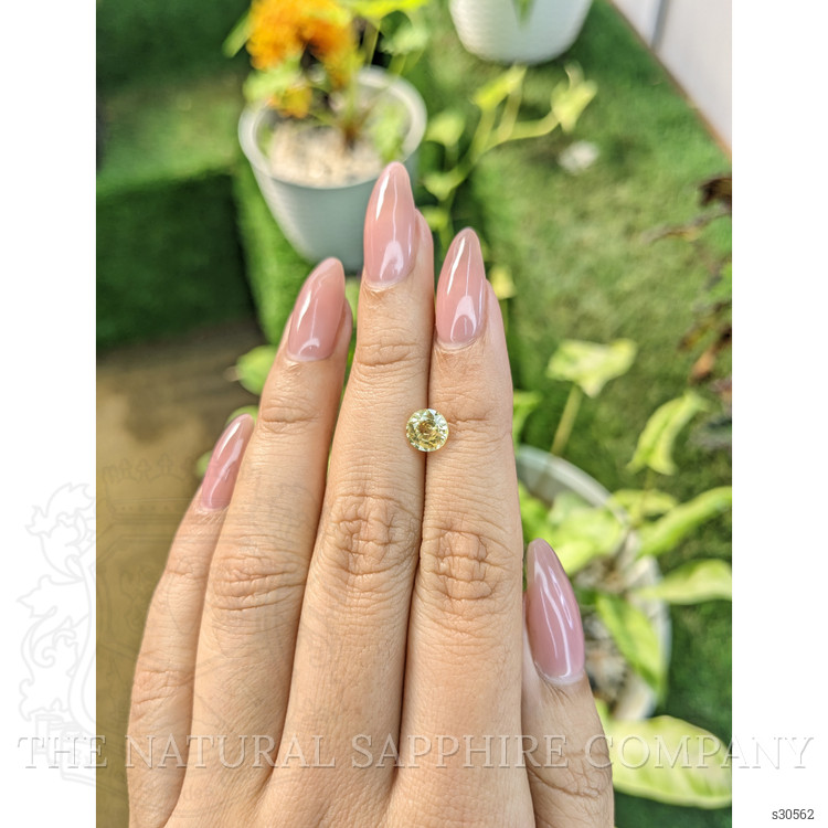 1.17 Ct. Yellow Sapphire from Ceylon (Sri Lanka)